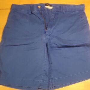 Polo by Ralph Lauren Blue Flat Front Shorts